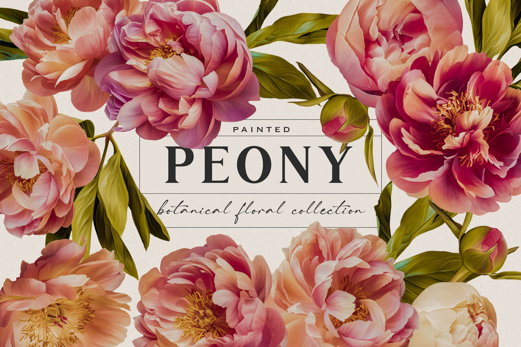 Peony Botanical Floral Collection 13