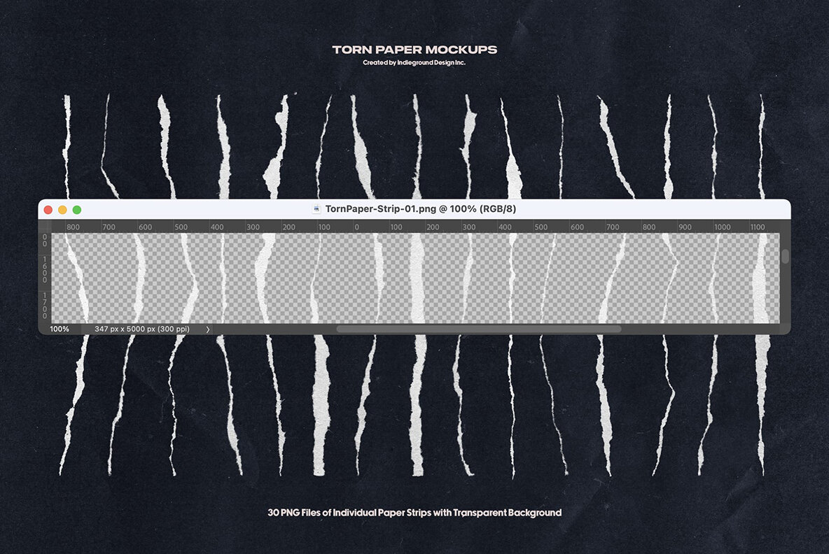 Torn Paper 5