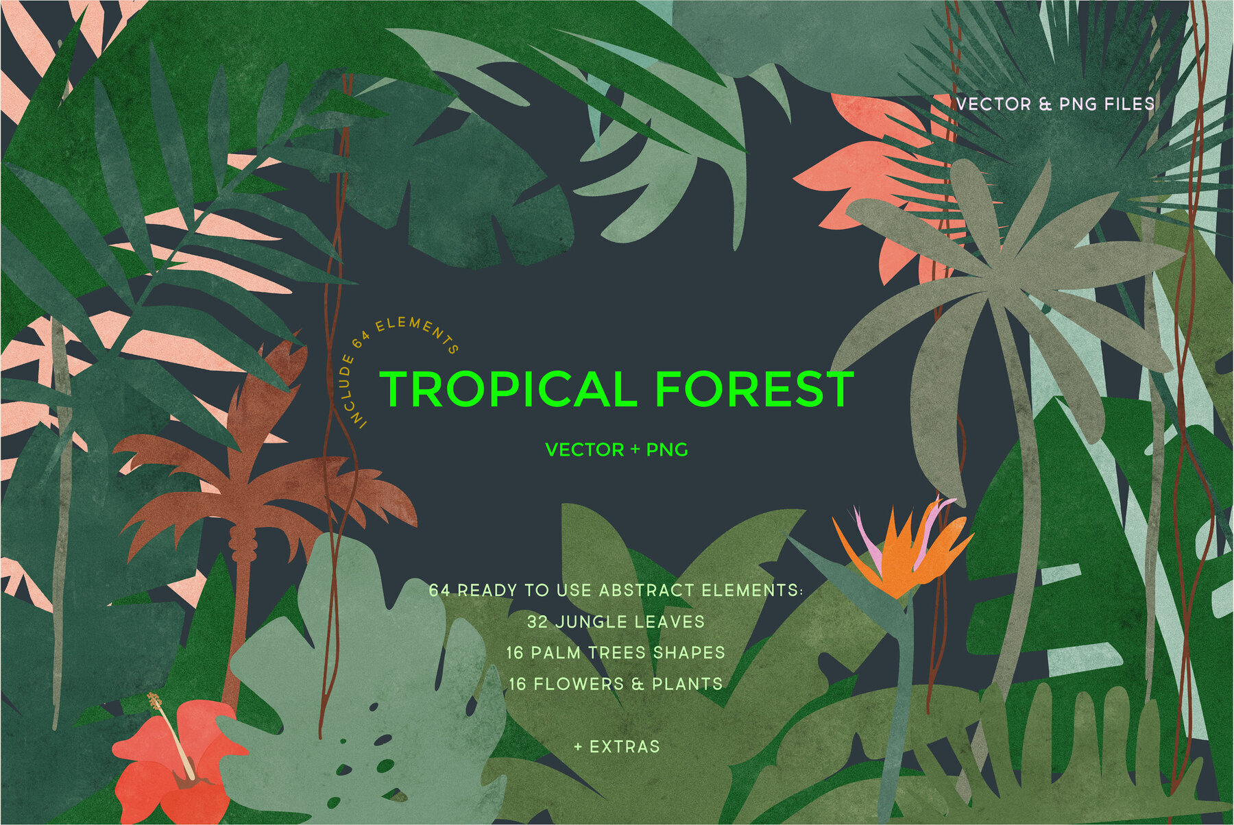 Tropical Forest Jungle Leaves 1