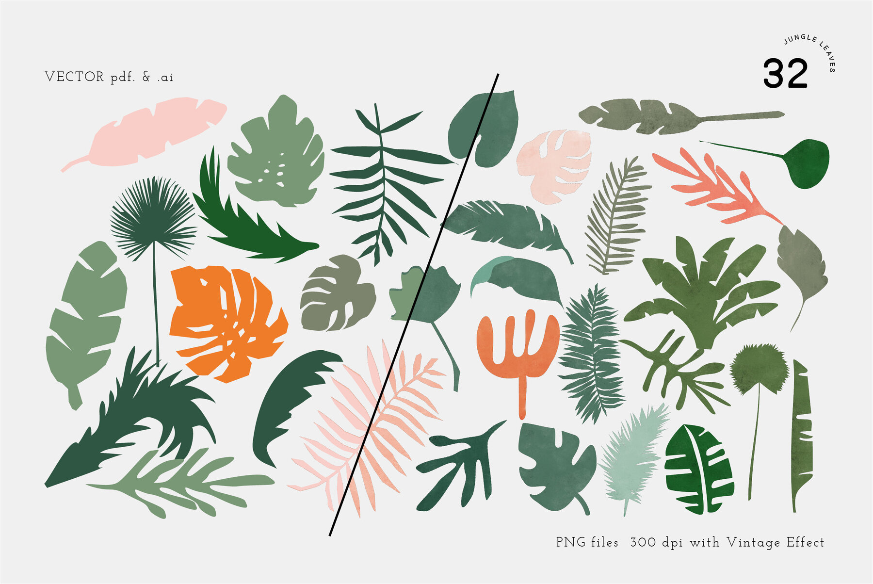 Tropical Forest Jungle Leaves 4