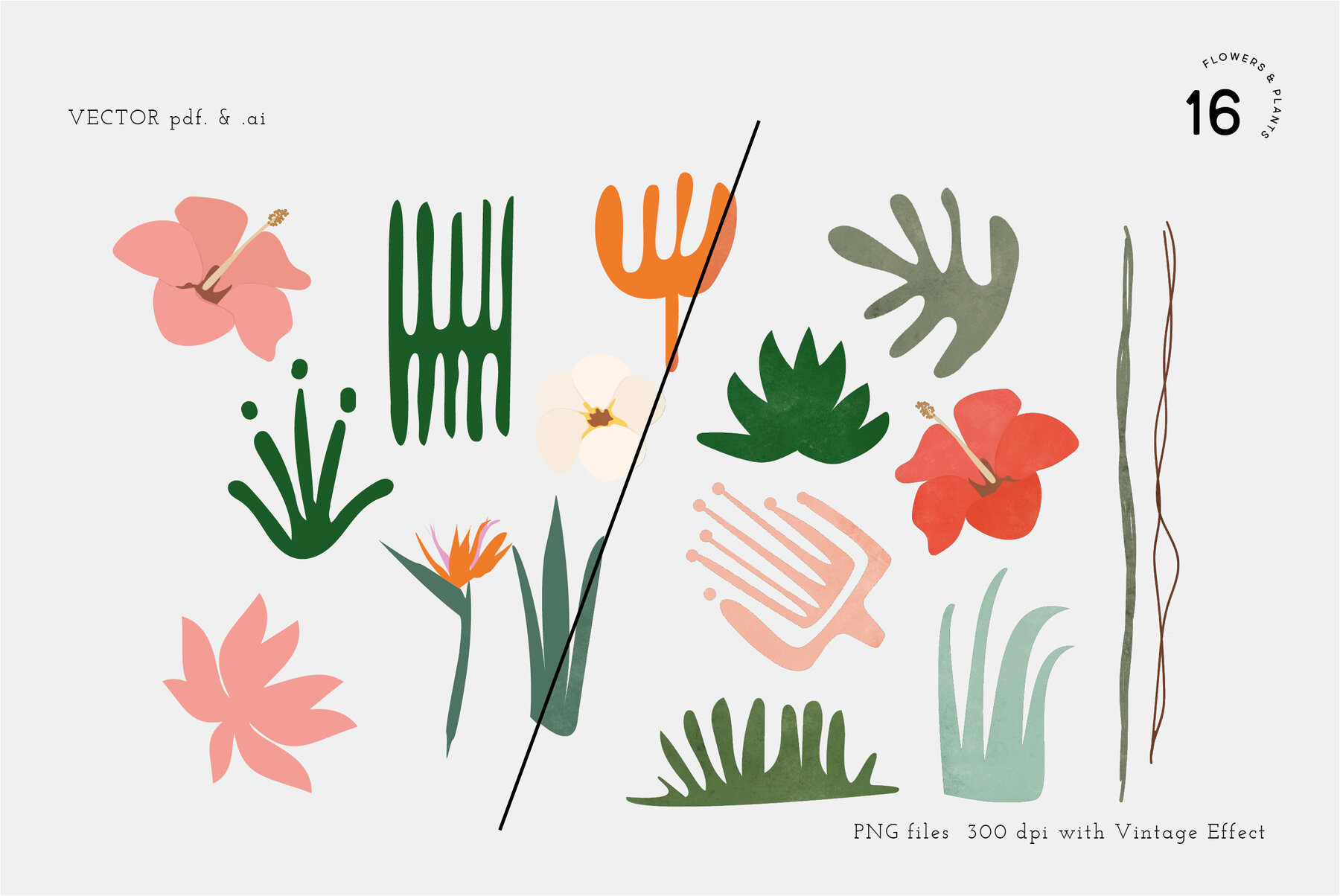 Tropical Forest Jungle Leaves 5