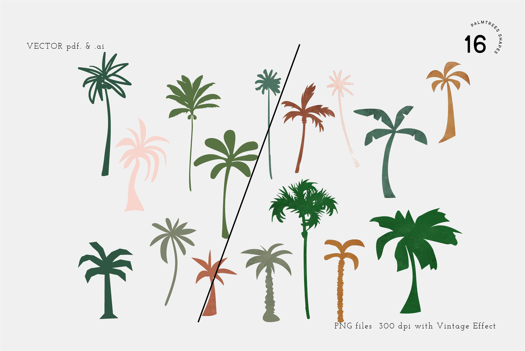 Tropical Forest Jungle Leaves 6