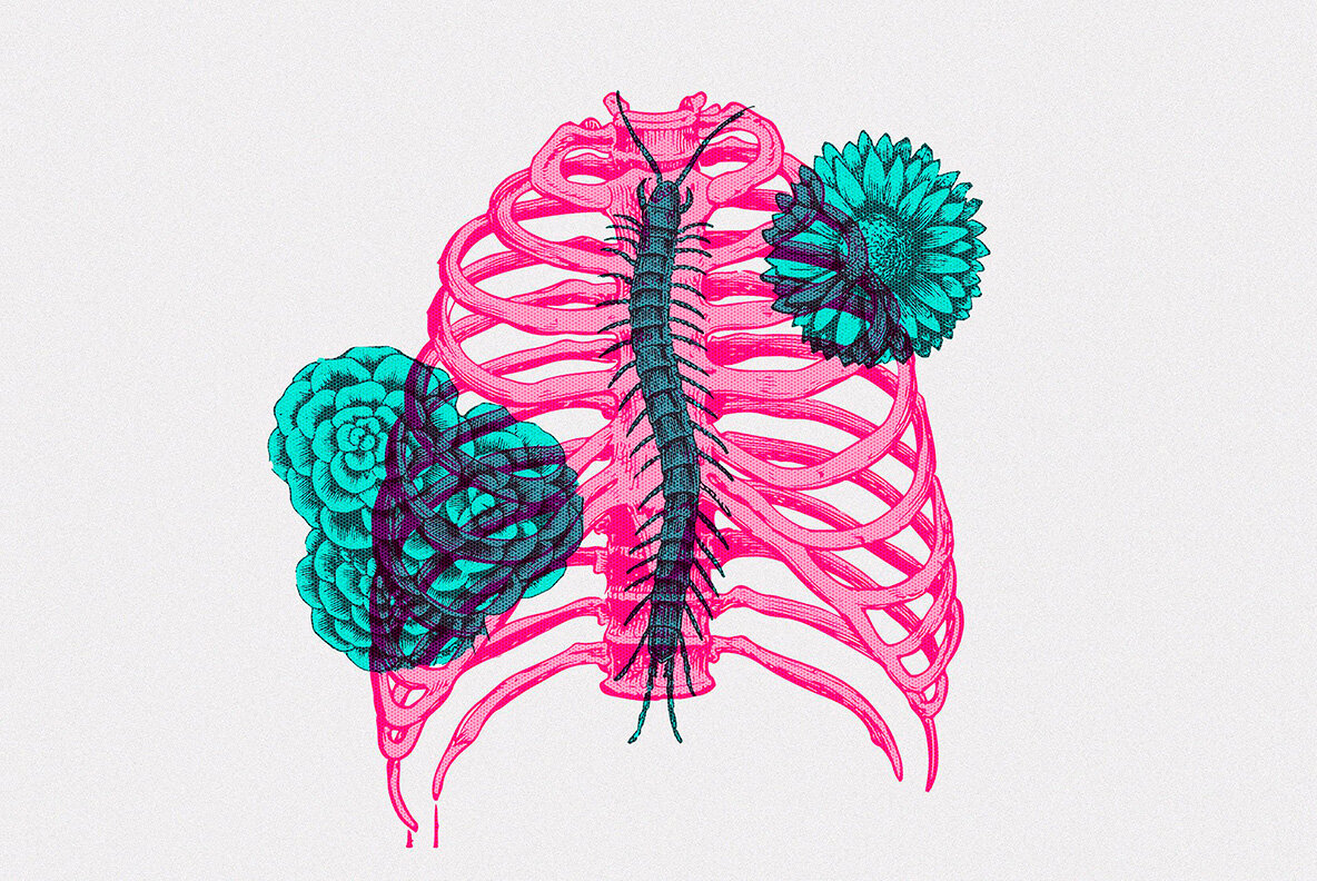 Vintage Effects Bundle 37