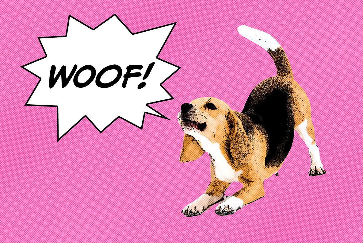 Cartoon Photo Effect 6