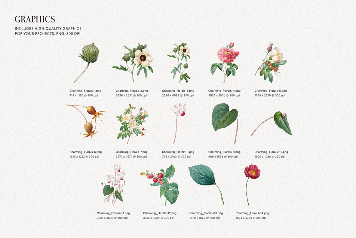 Charming Botanical Pattern   Plants 8