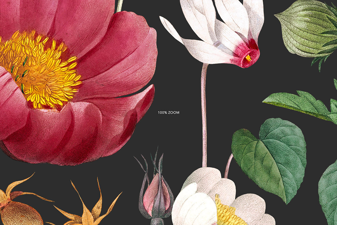 Charming Botanical Pattern   Plants 12