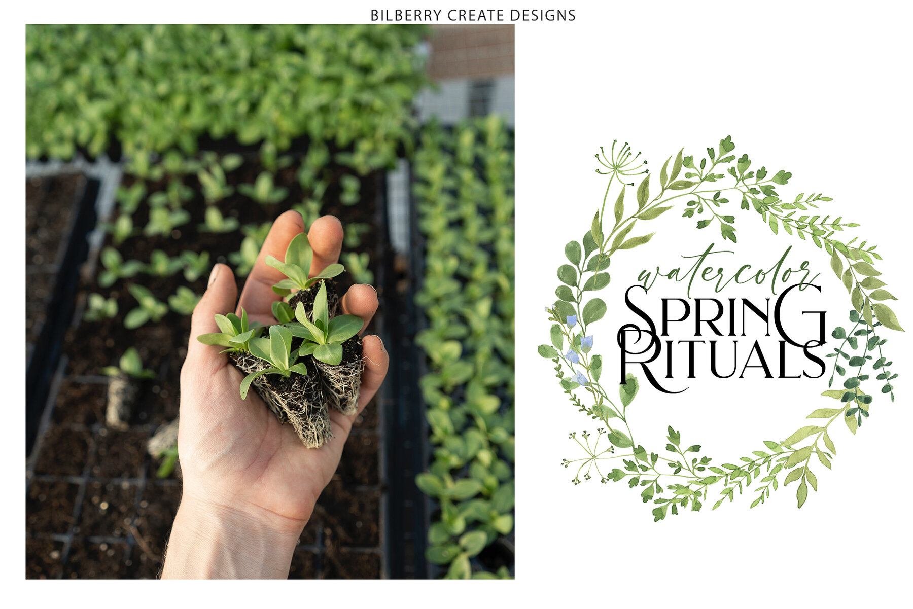 Watercolor Spring Rituals Stock Art 12