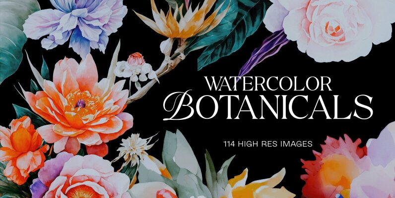 Watercolor Botanicals