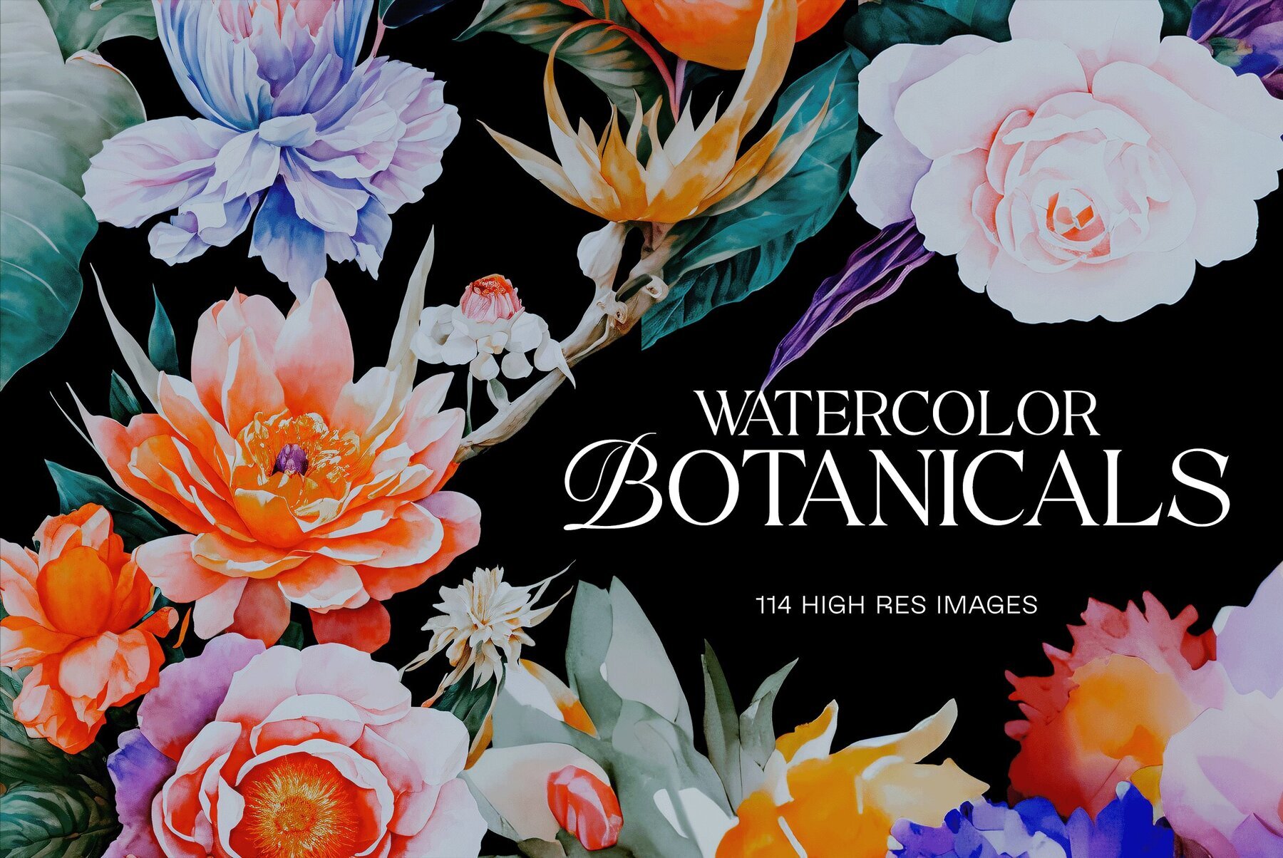 Watercolor Botanicals 1