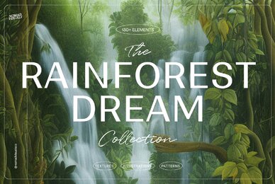 Rainforest Waterfalls Dream