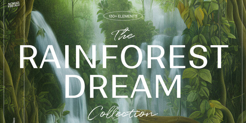 Rainforest Waterfalls Dream