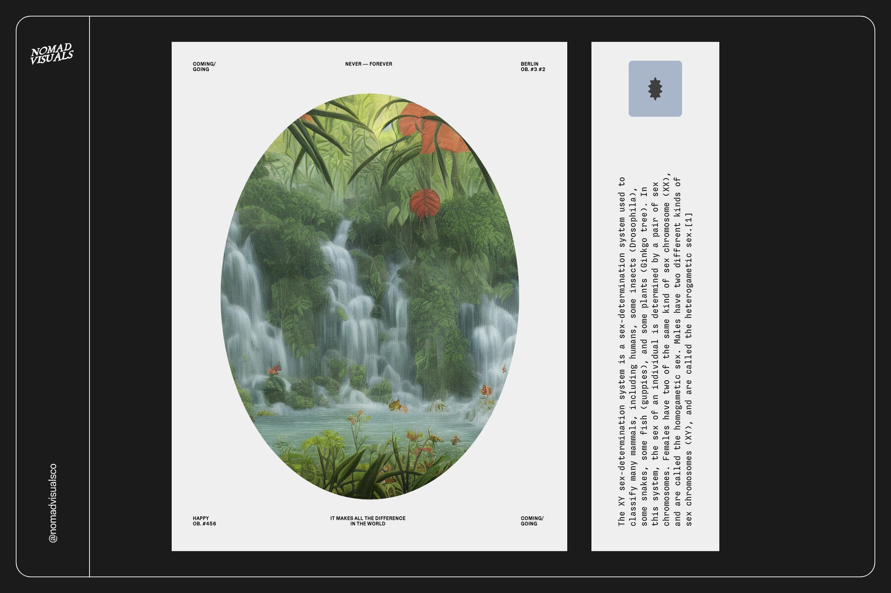 Rainforest Waterfalls Dream 8