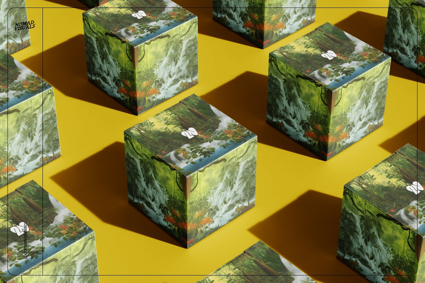 Rainforest Waterfalls Dream 16