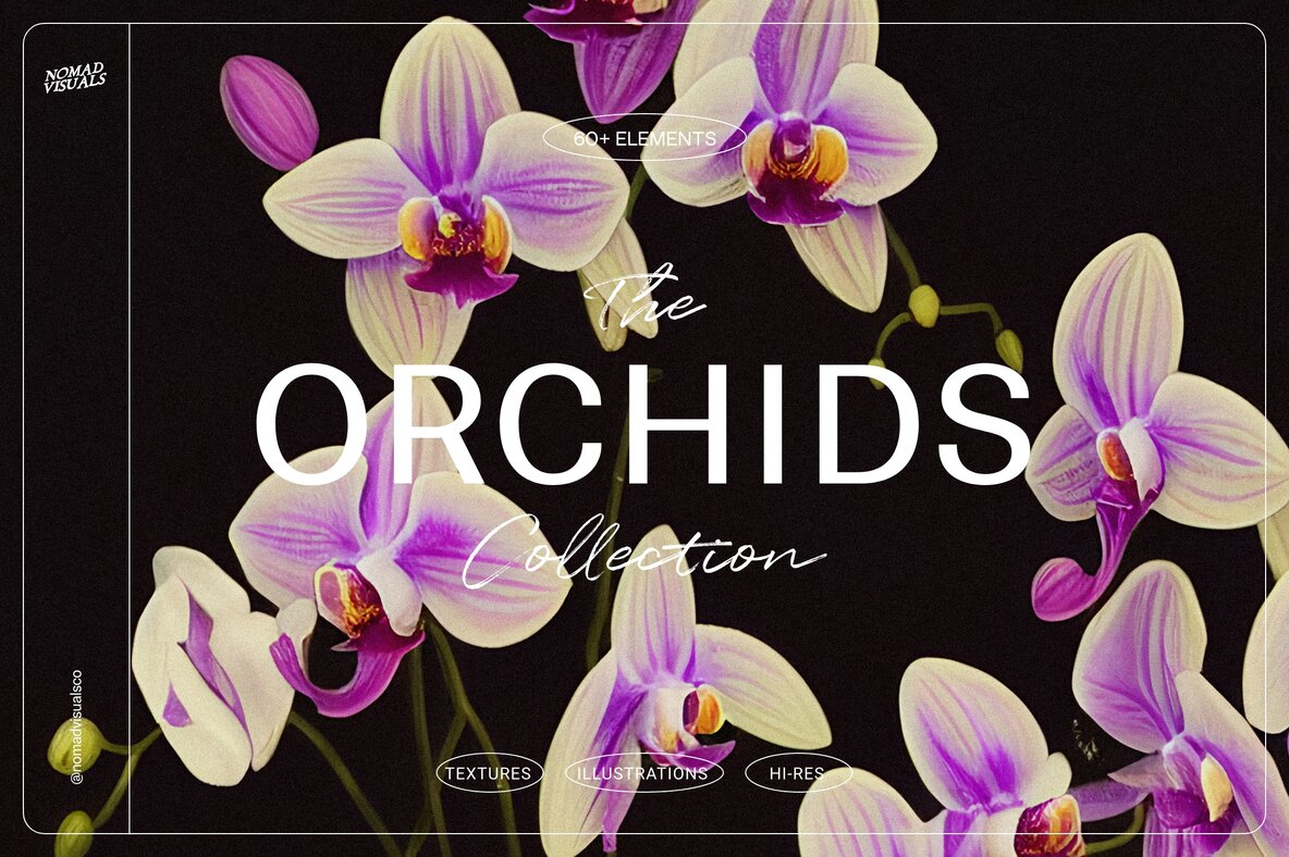 Orchids Patterns - YouWorkForThem