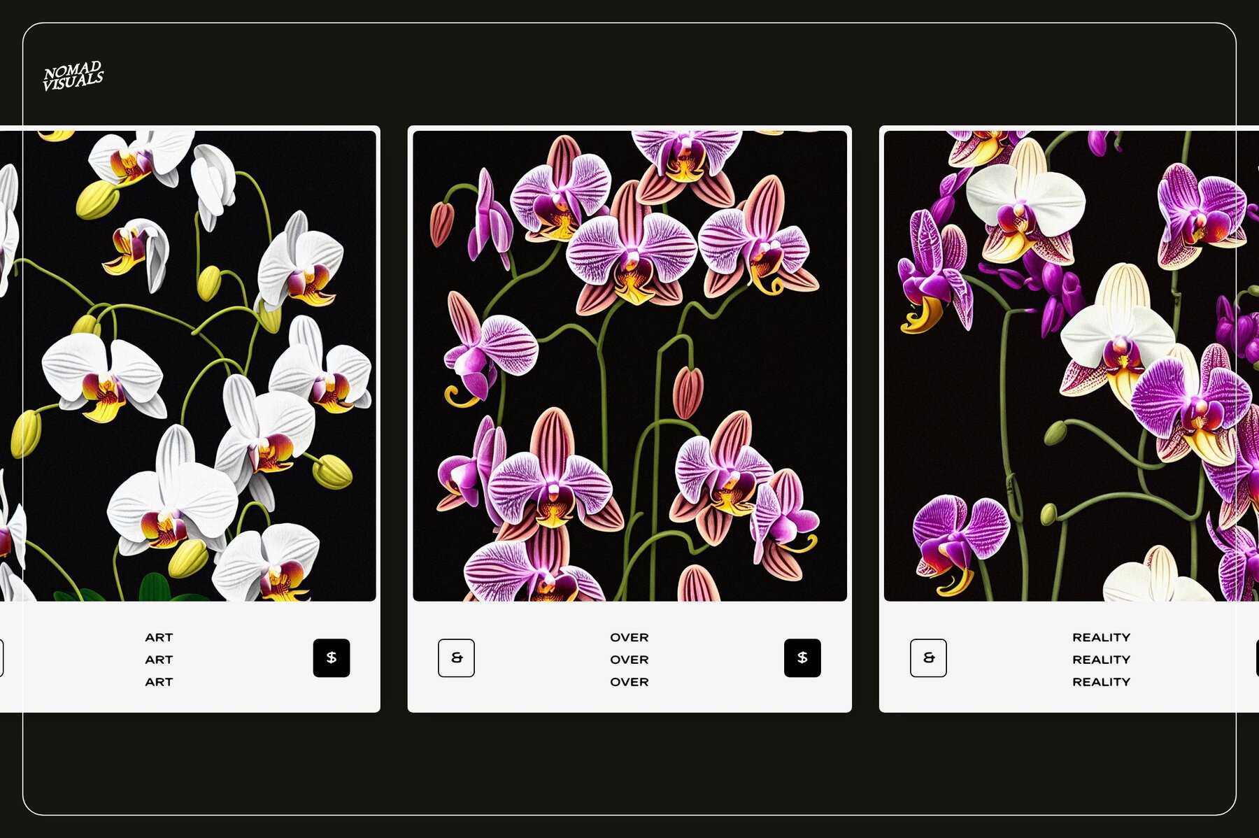 Orchids 20