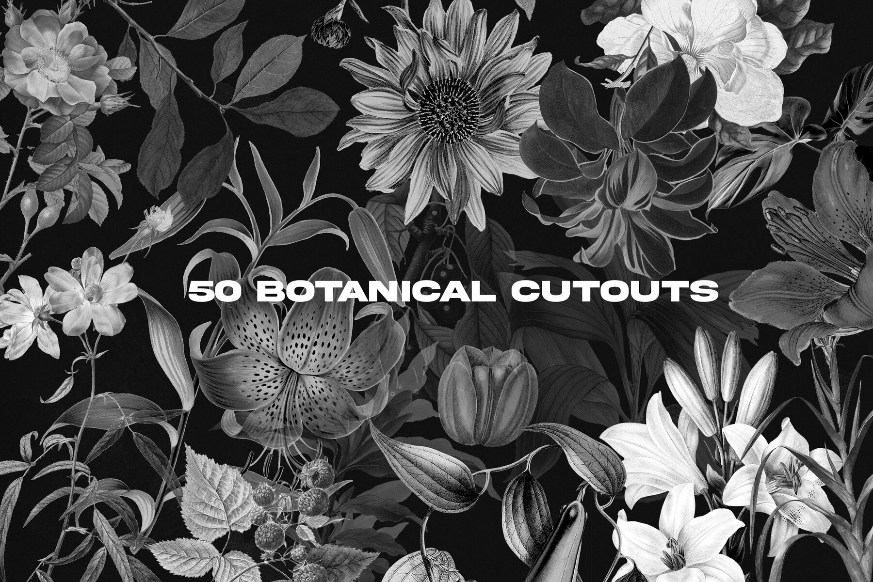 WHYTE Collage and Graphic Bundle 8