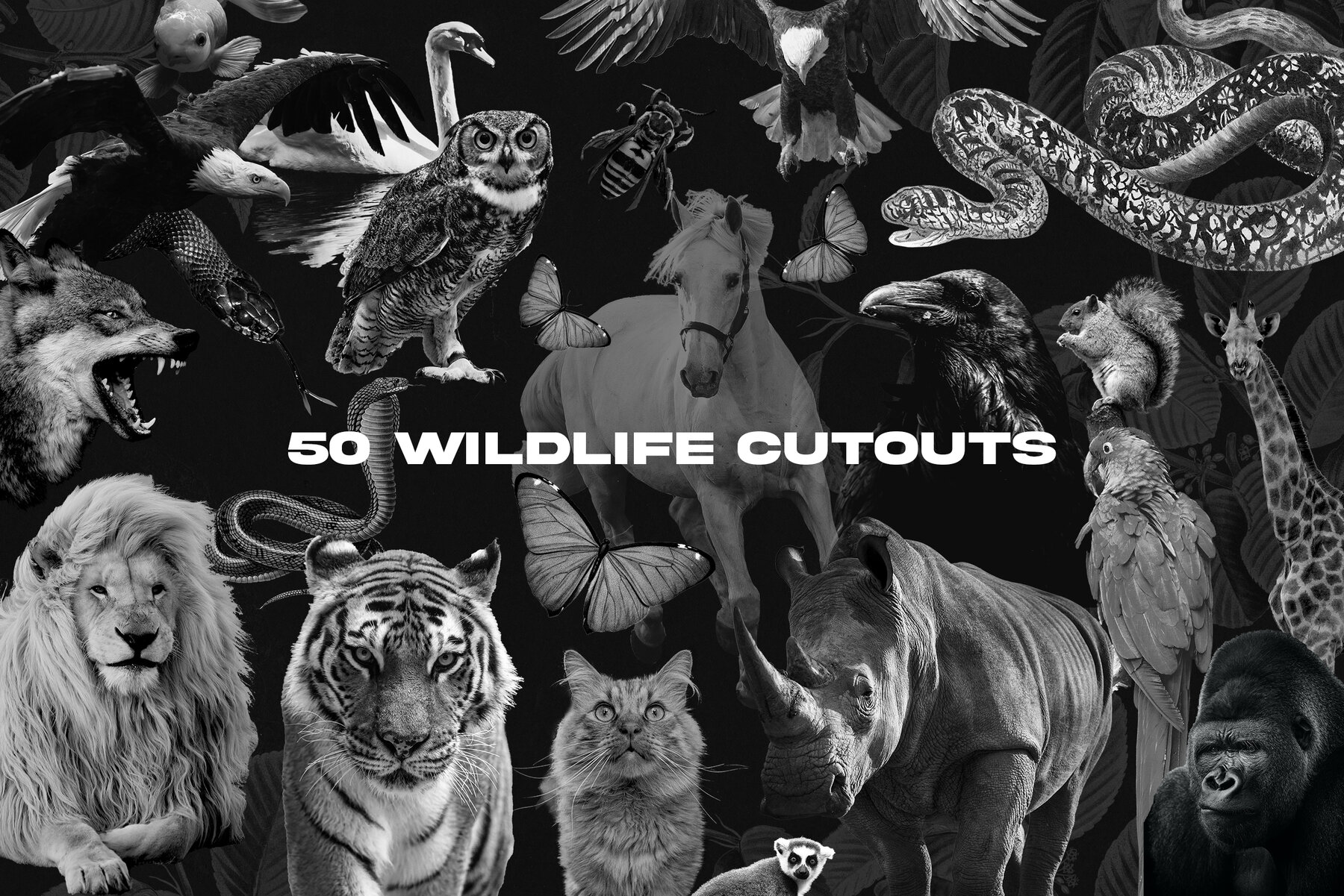 WHYTE Collage and Graphic Bundle 9