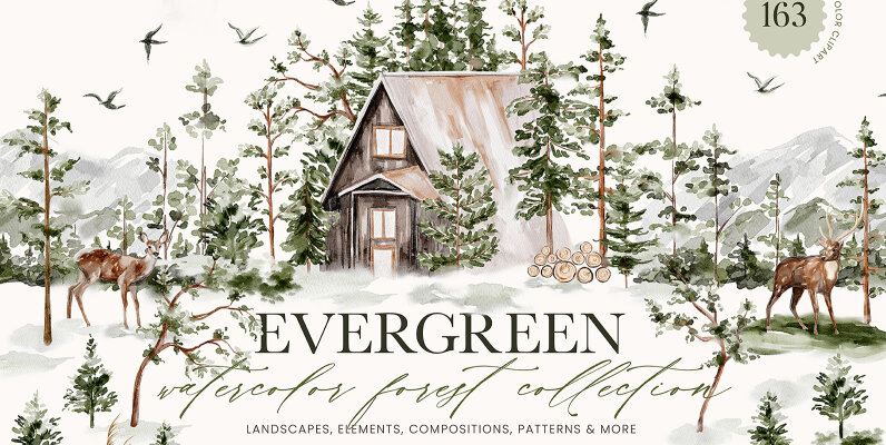 Evergreen Watercolor Forest Collection