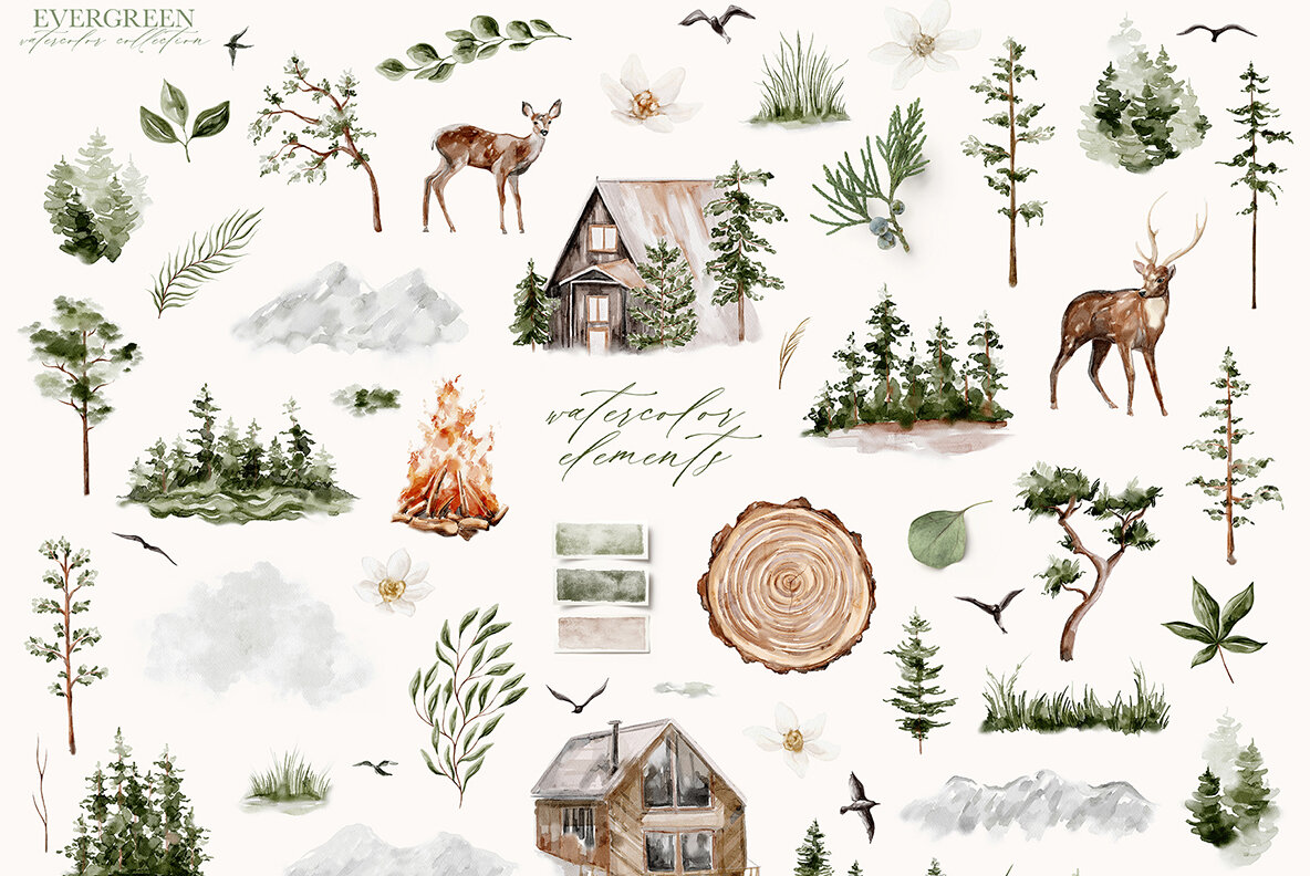 Evergreen Watercolor Forest Collection 9