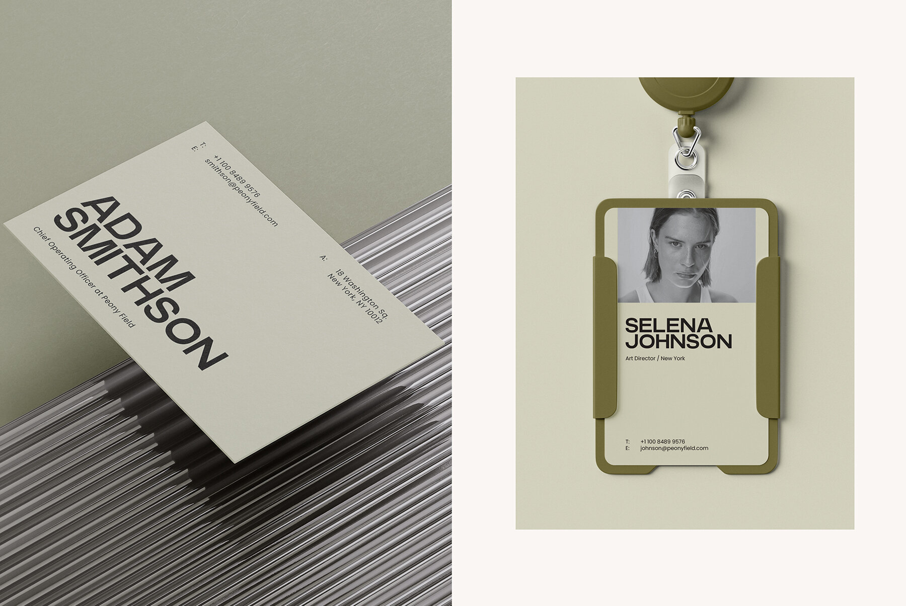 Modern Brand Bundle 2