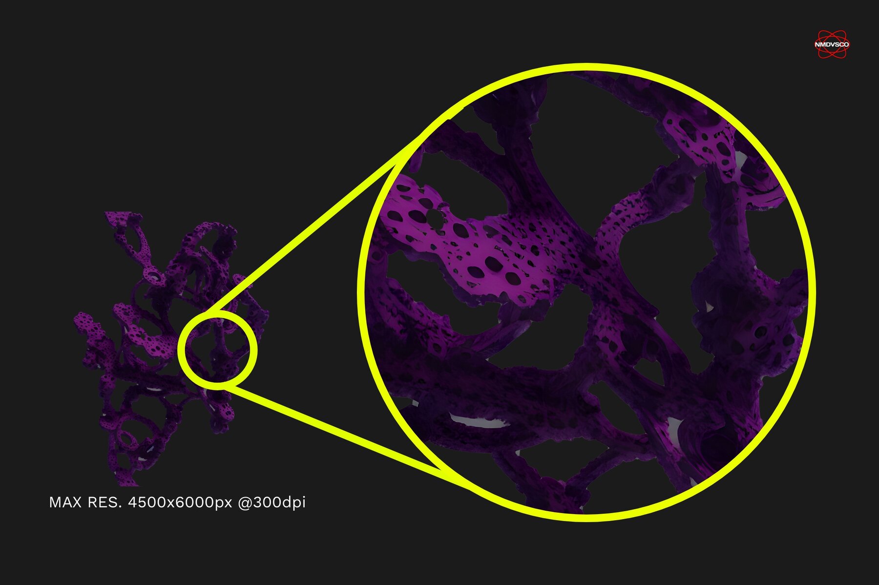 Biomorphic Futurism   Vol 05 12
