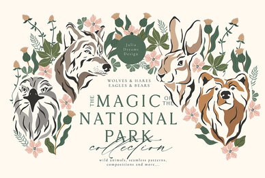 The Magic of the National Park