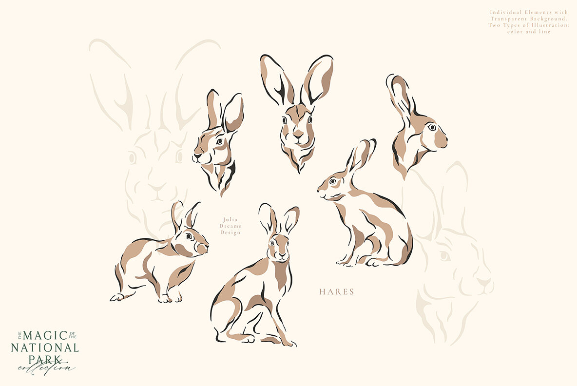 The Magic of the National Park 5