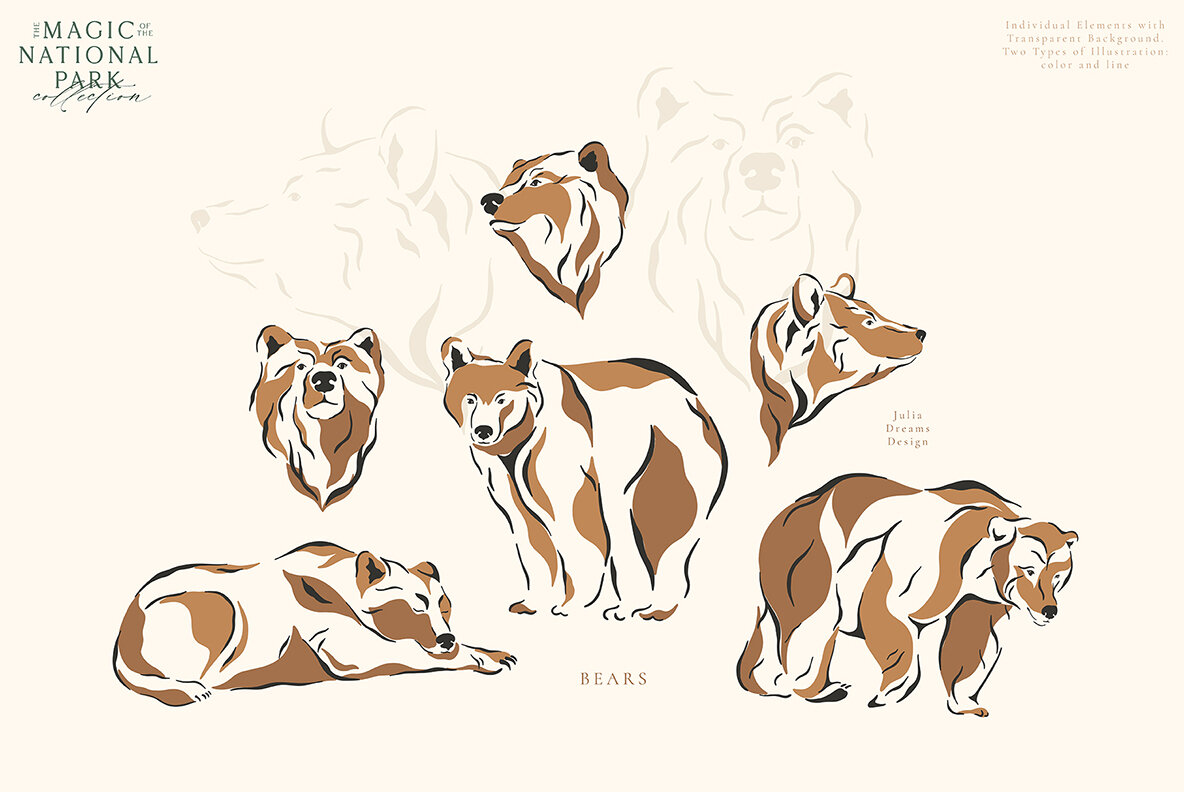 The Magic of the National Park 6