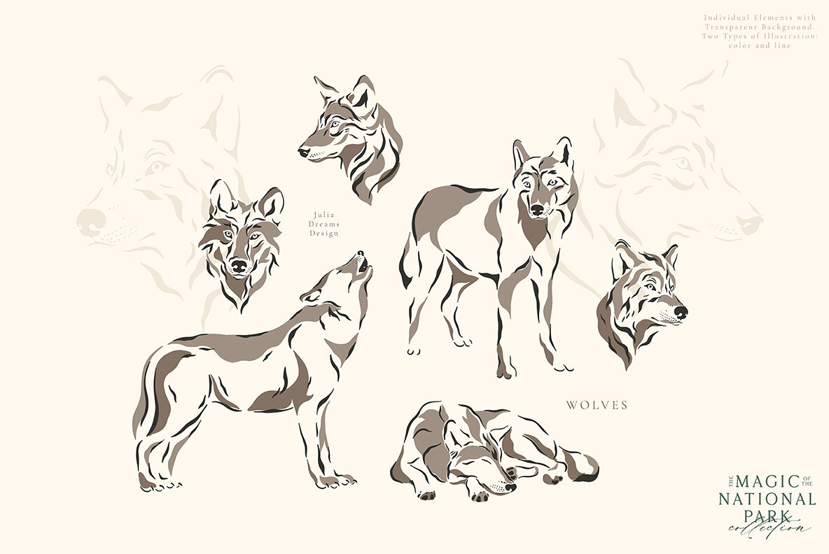 The Magic of the National Park 7