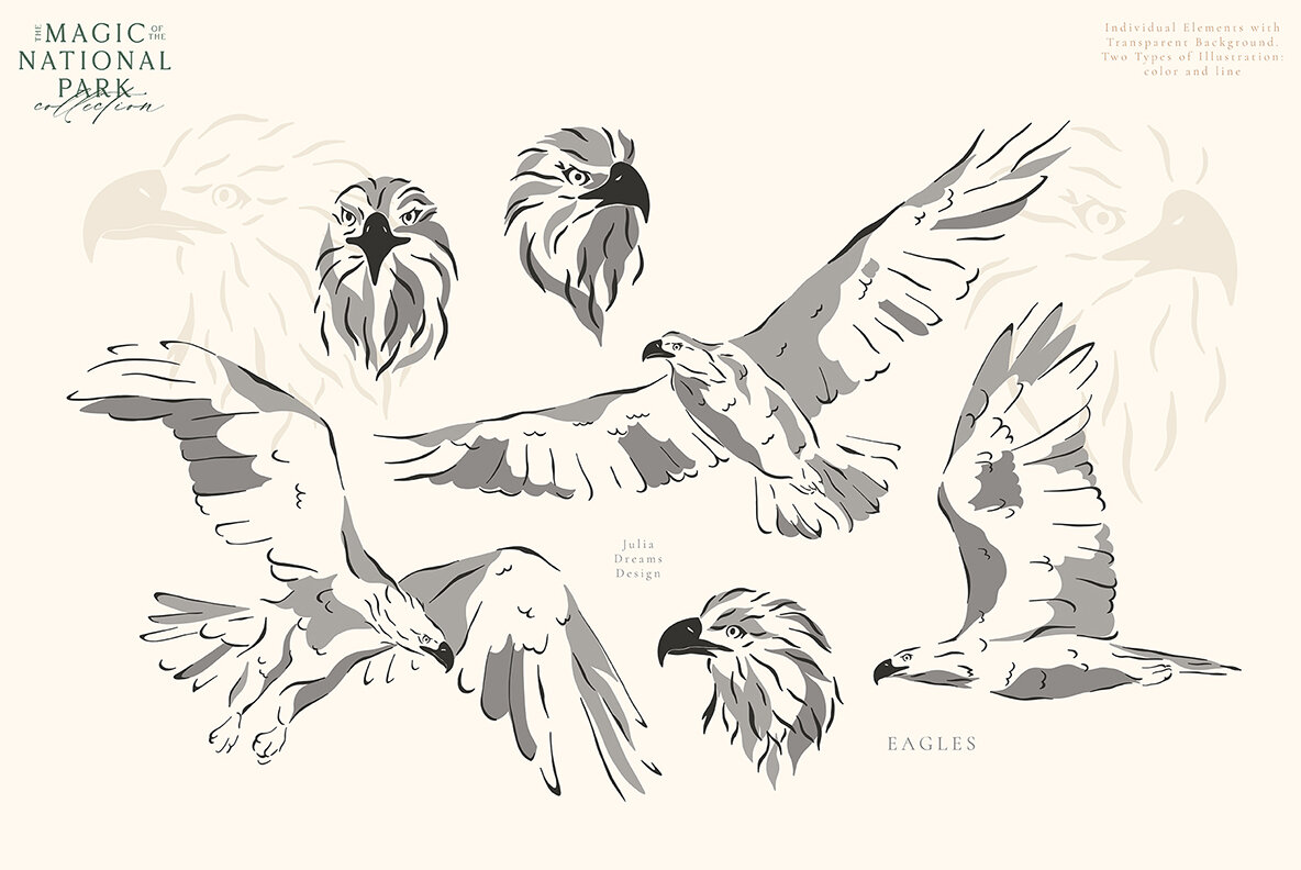 The Magic of the National Park 8