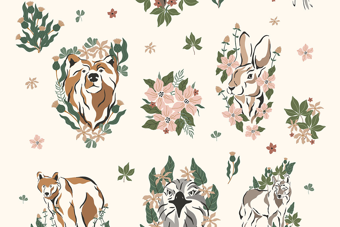 The Magic of the National Park 11