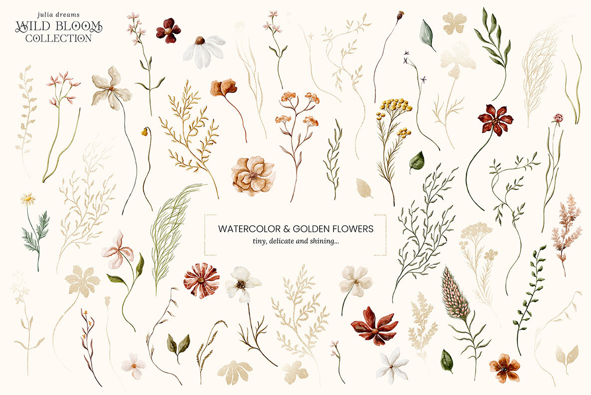 Wild Bloom Collection 7