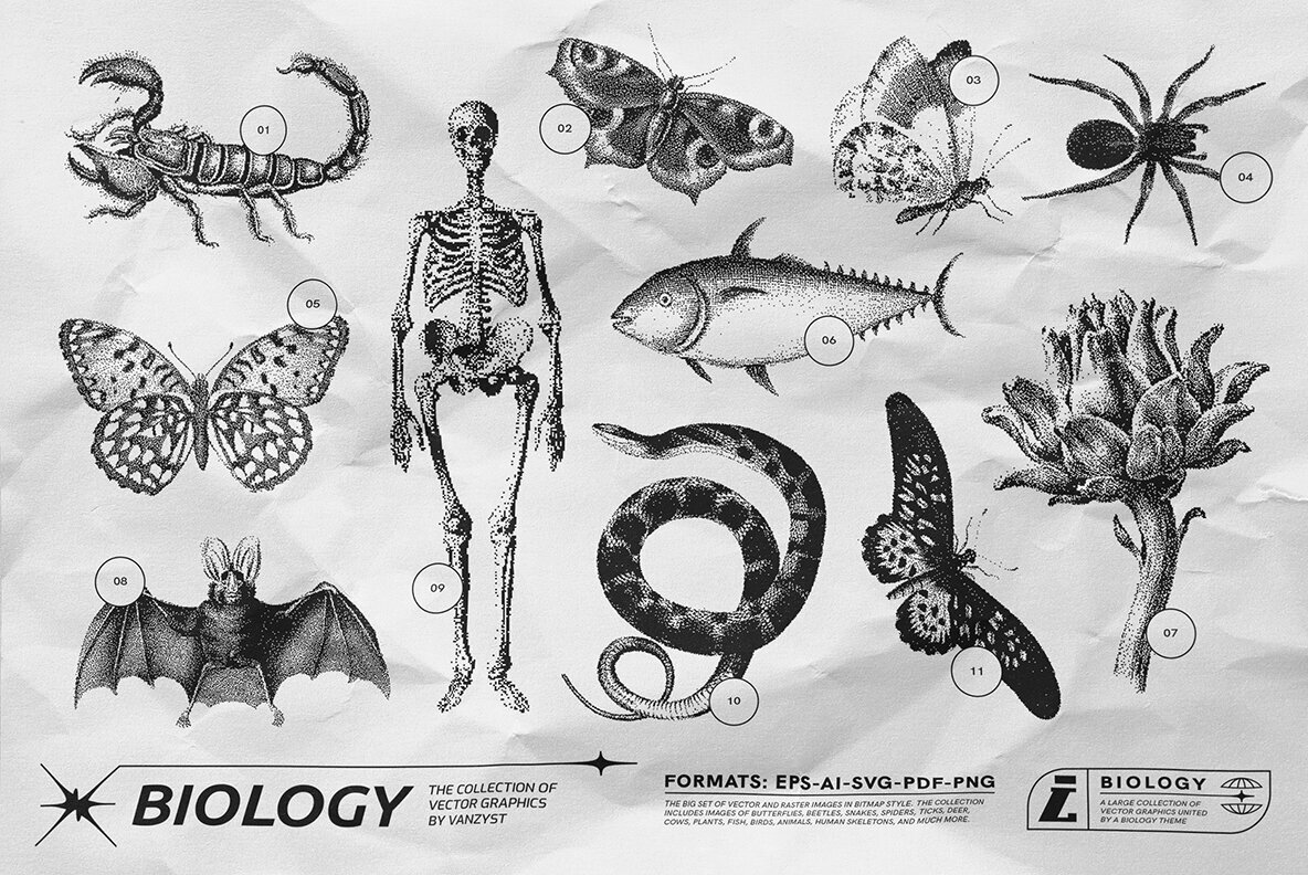 125 Vector Bitmap Assets Biology 2