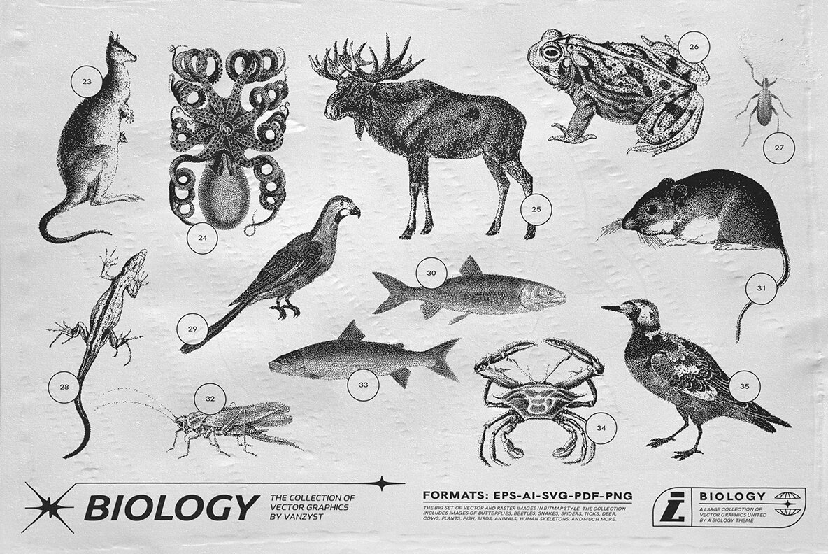 125 Vector Bitmap Assets Biology 4