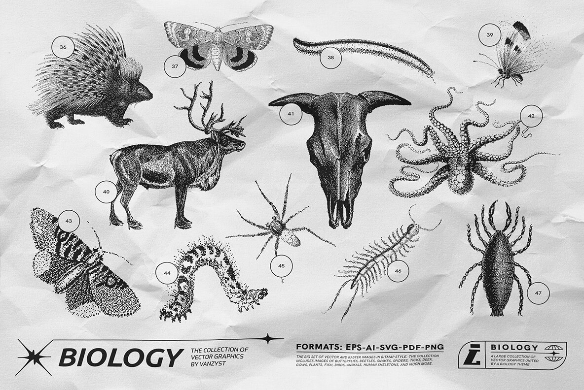 125 Vector Bitmap Assets Biology 5