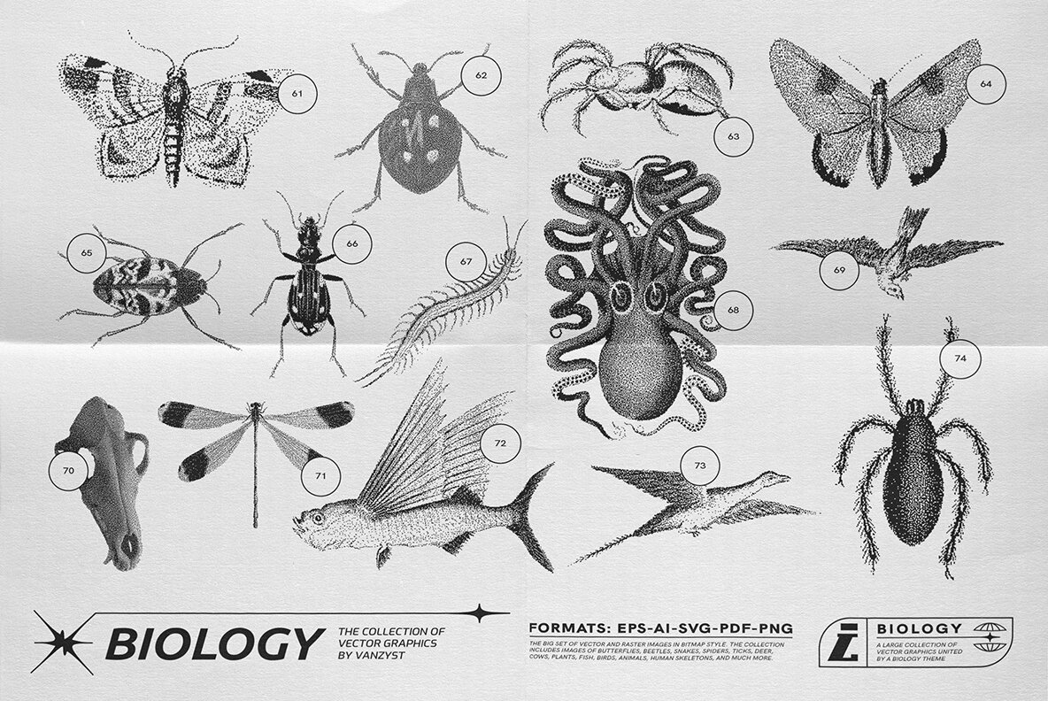 125 Vector Bitmap Assets Biology 7
