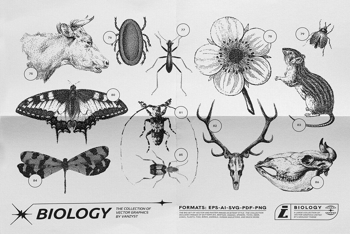 125 Vector Bitmap Assets Biology 8