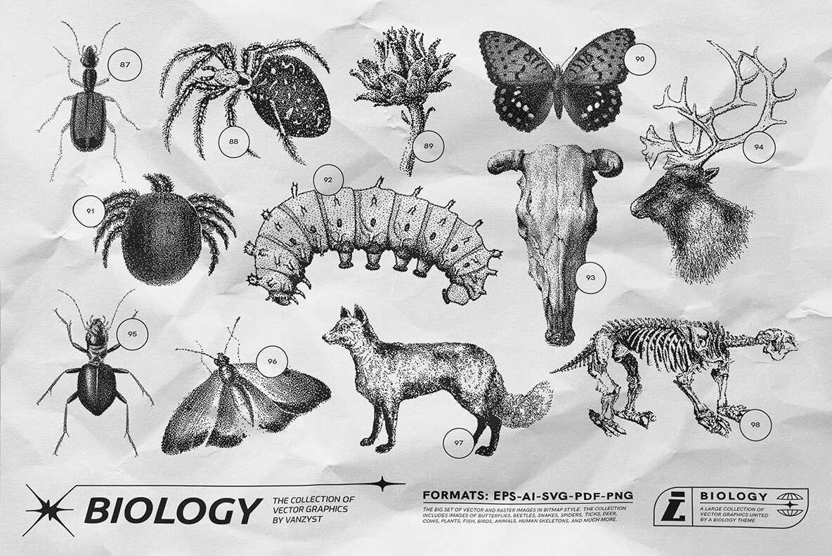 125 Vector Bitmap Assets Biology 9
