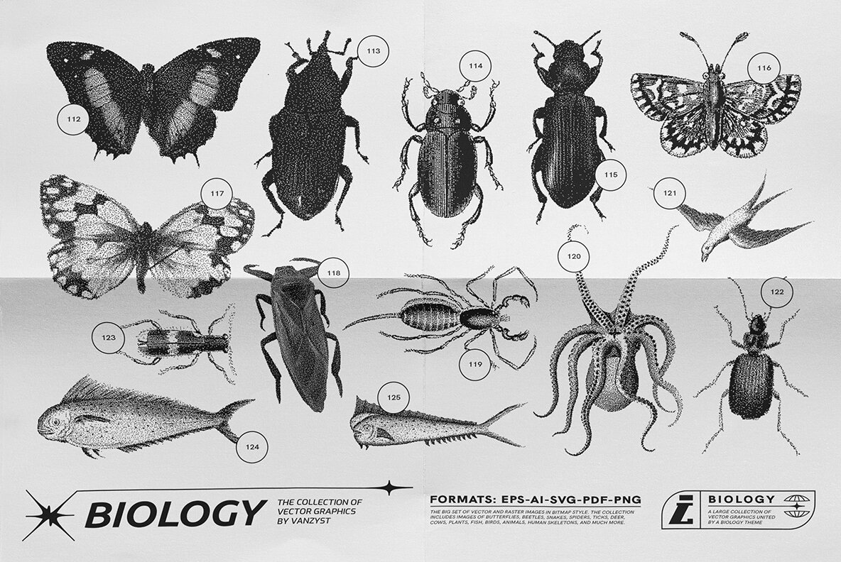 125 Vector Bitmap Assets Biology 11