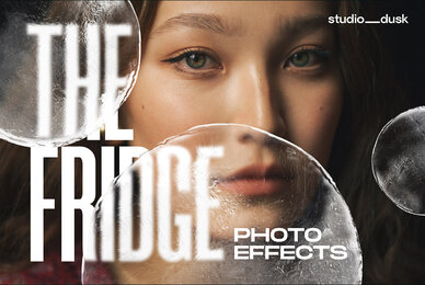 The Fridge   Frozen Photo Effects