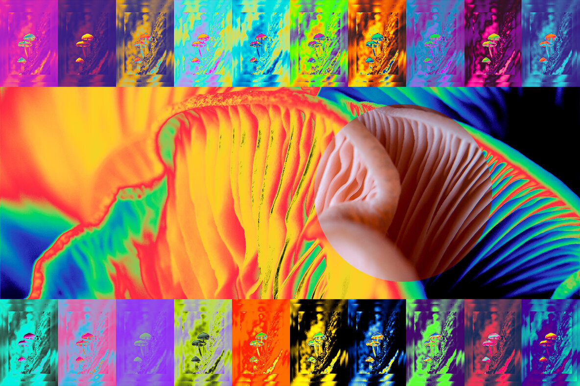 Psychedelic   Gradient Maps 2