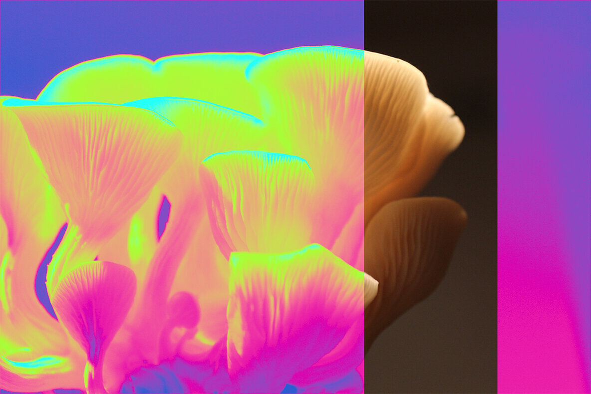 Psychedelic   Gradient Maps 3