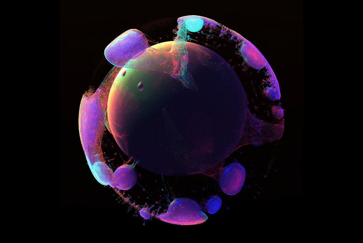 BIOMORPH Abstract Backgrounds 3