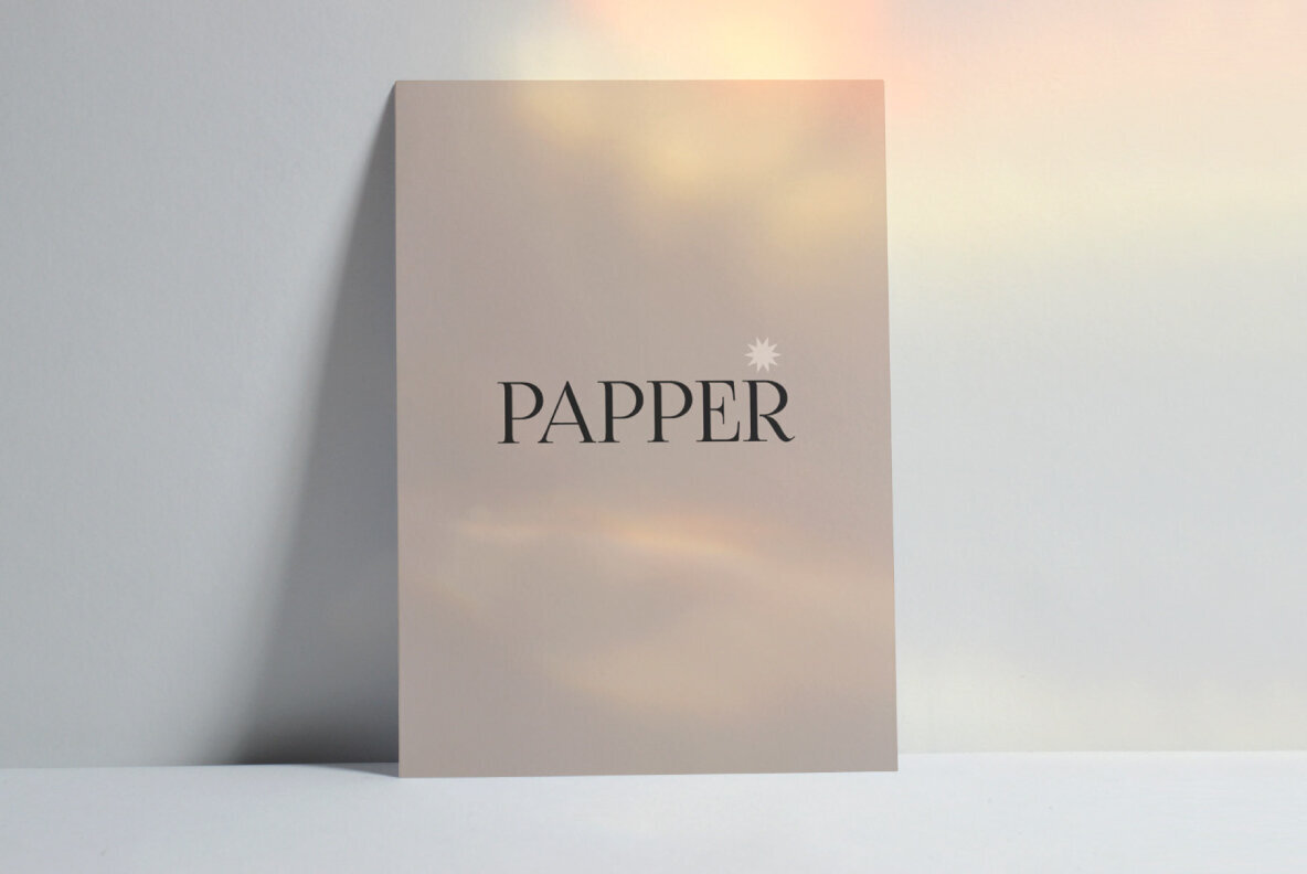 Realistic Flyer Poster Mockups 3