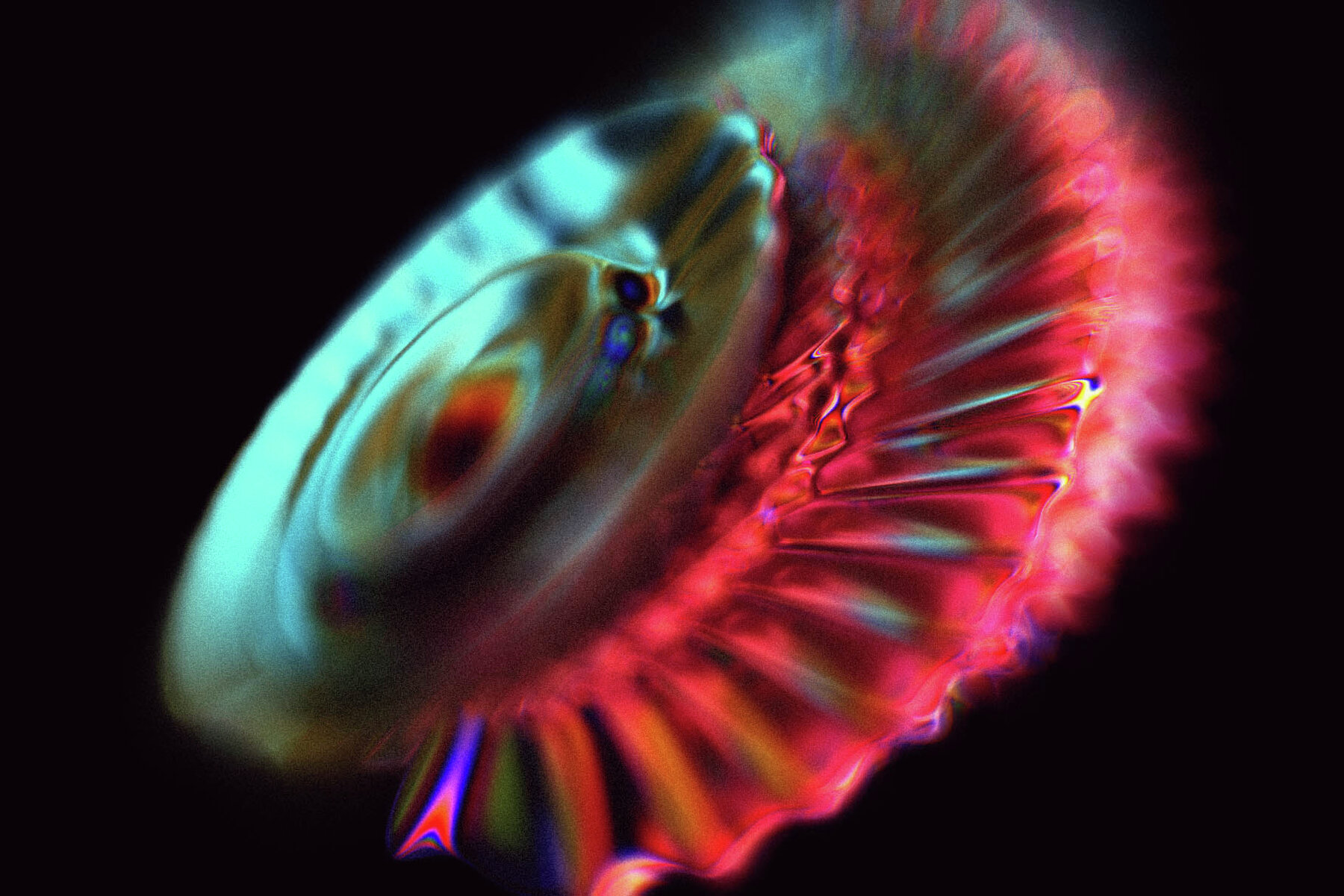 Fusion   Vibrant Abstraction 11