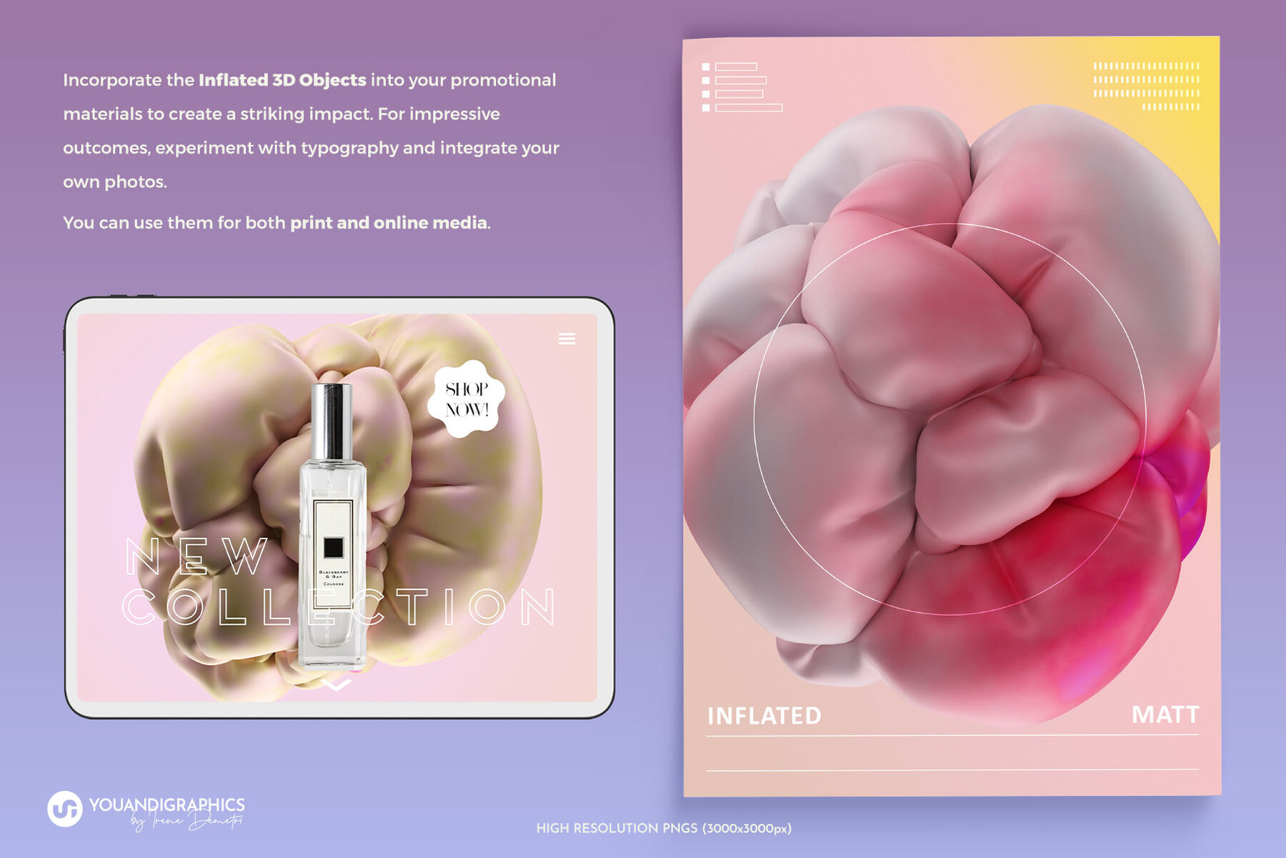 Abstract Inflated 3D Objects 8