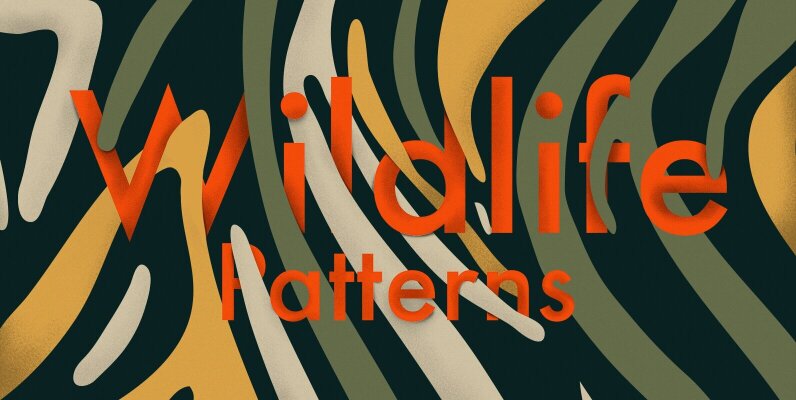 Wild Life Patterns