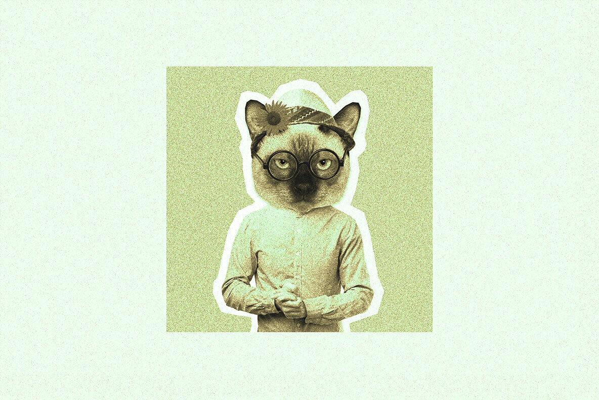 Risograph Grain Effect 2