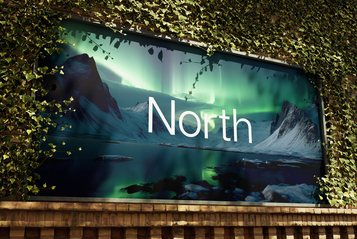 Northern Lights 8
