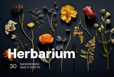 Herbarium Backgrounds